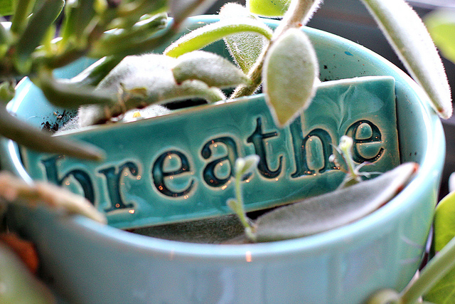 breathe-Mae-Chevrette-flickr
