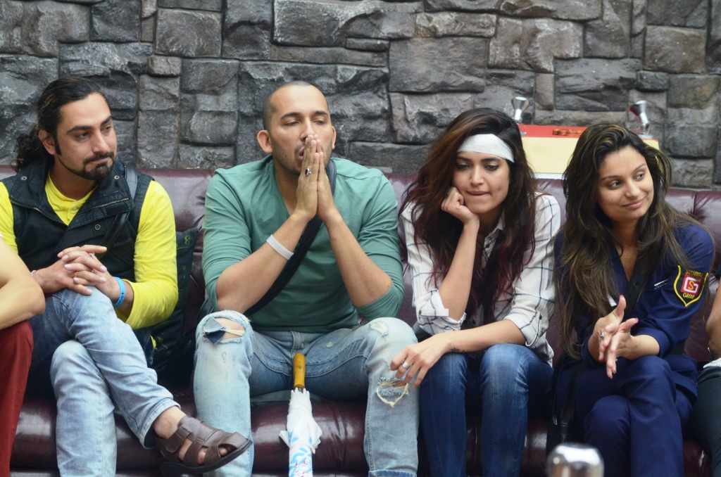 Praneet Bhatt, Ali Quli Mirza, Karishma Tanna and Dimpy Mahajan on Bigg Boss