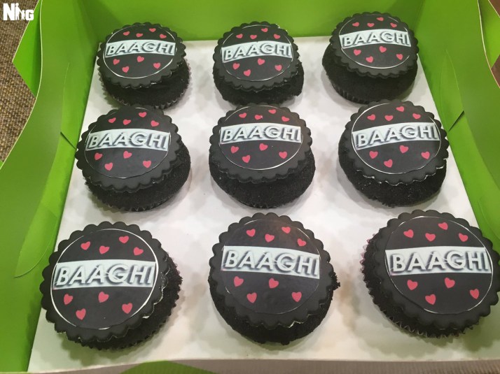 Baaghi PR2