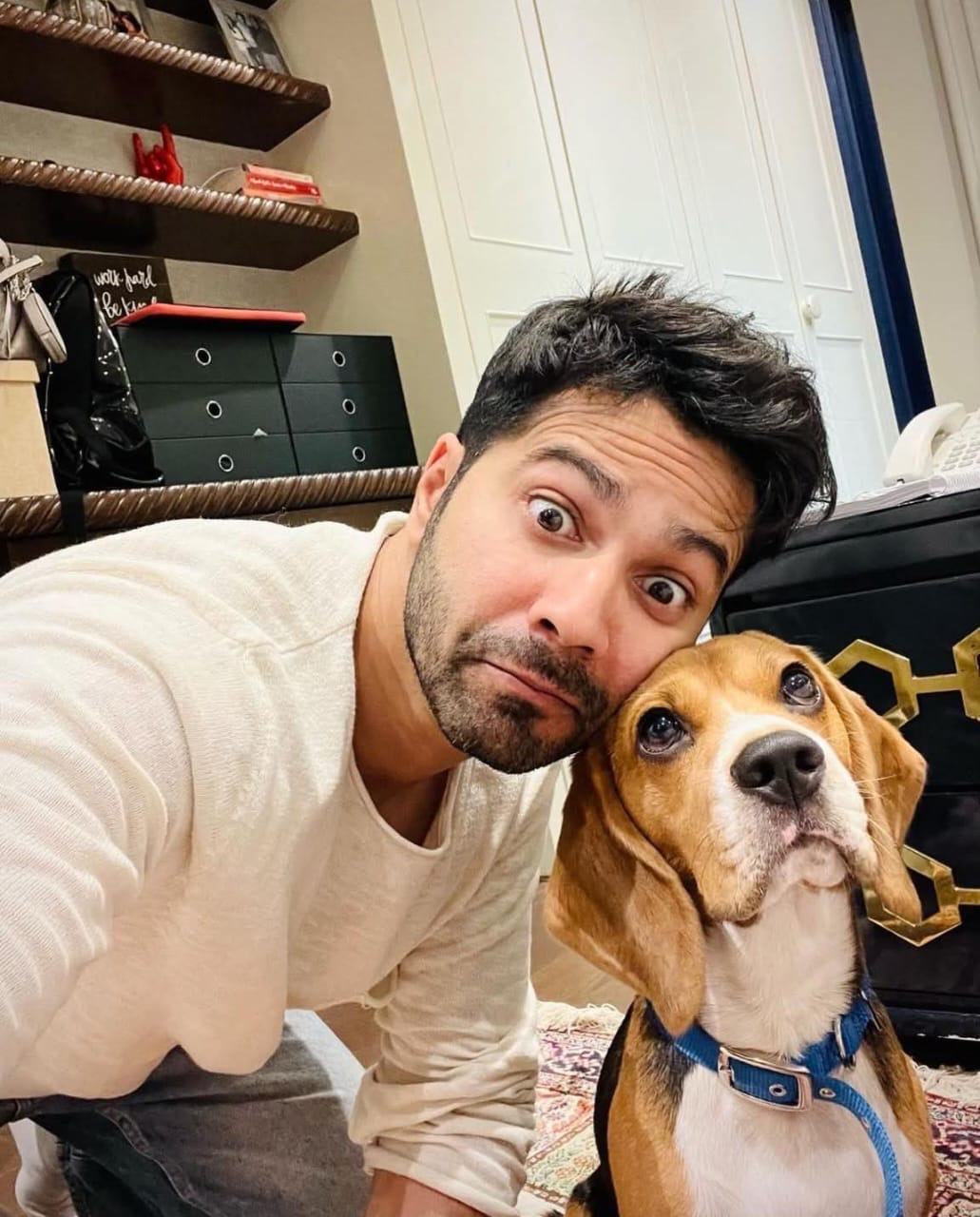Dog Day: Heartwarming Celebrity Pet Stories - Blog